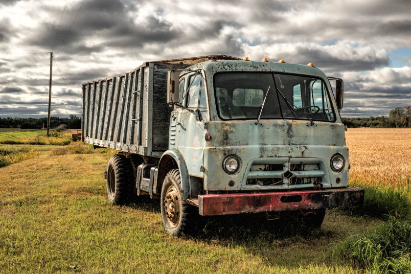 Vintage Grain Truck - Near Manning, Alberta