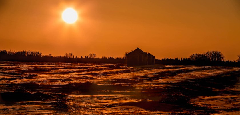 Cold February Sun - Near Webberville Hall, Alberta