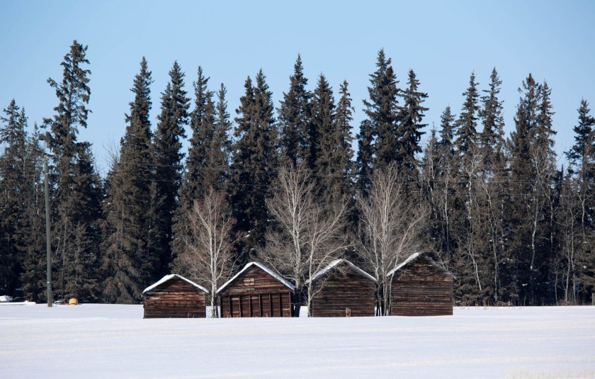 Grain Bins - Rycroft, Alberta