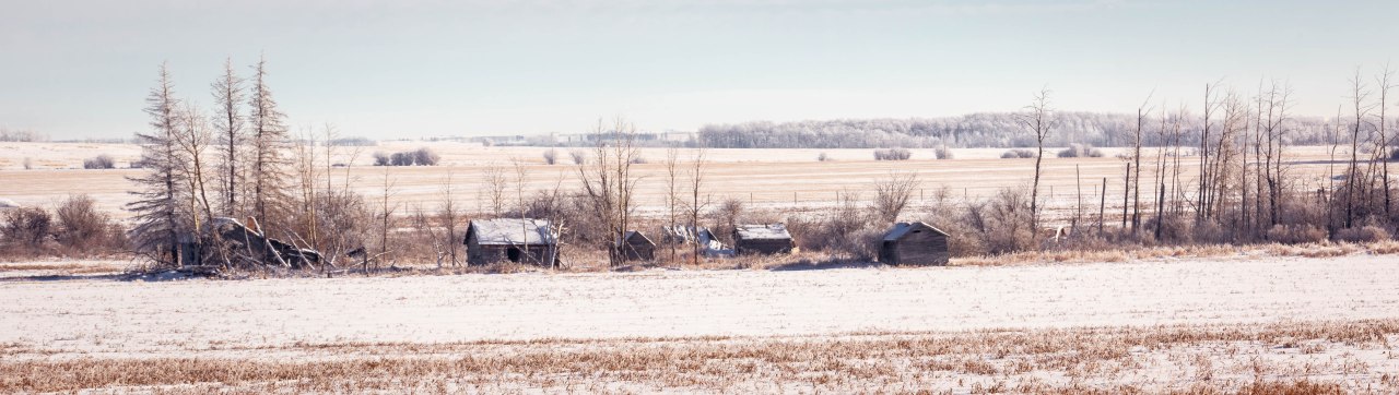 Derelict Homestead – Sexsmith, Alberta, Canada – 1 
