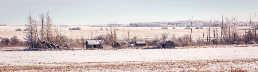 Derelict Homestead – Sexsmith, Alberta, Canada – 1 