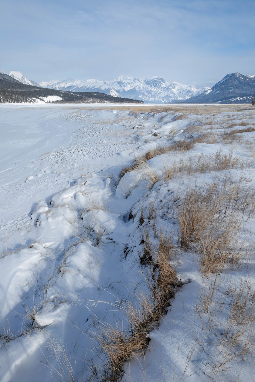 Abraham Lake, Alberta, Canada - 3