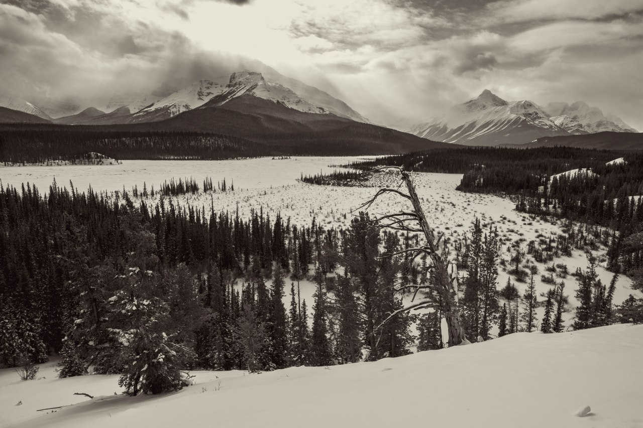 Banff National Park - 1