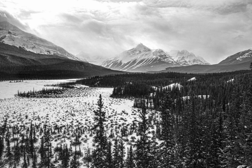 Banff National Park - 4