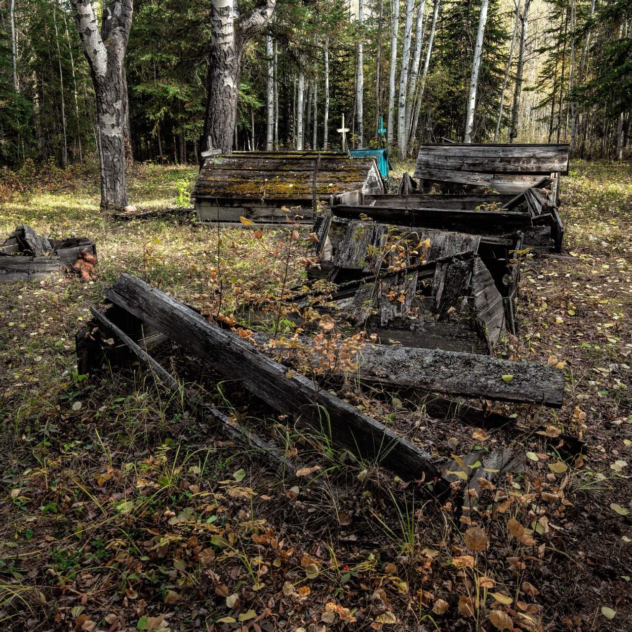 Indian Cabins, Alberta - 1