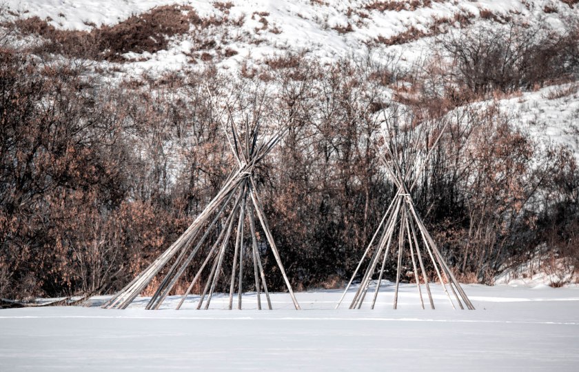 Tipi Poles - Dunvegan, Alberta, 1