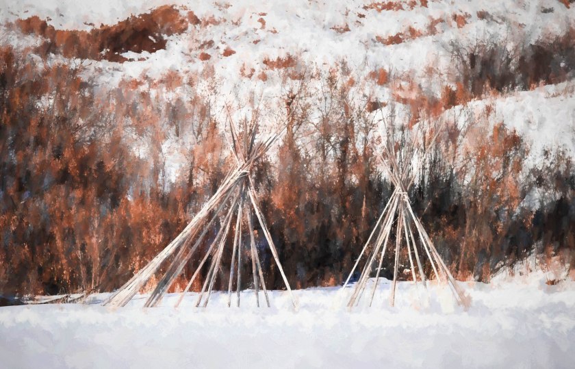 Tipi Poles - Dunvegan, Alberta, 2