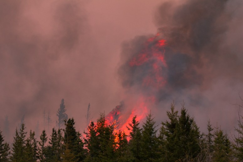 Chuckegg Creek Fire - Rages
