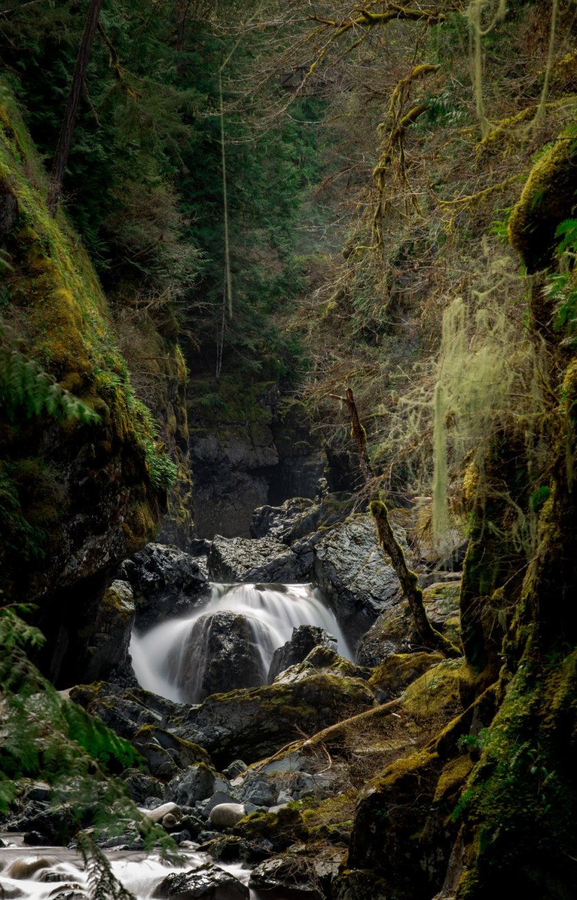 Englishman River Falls 4