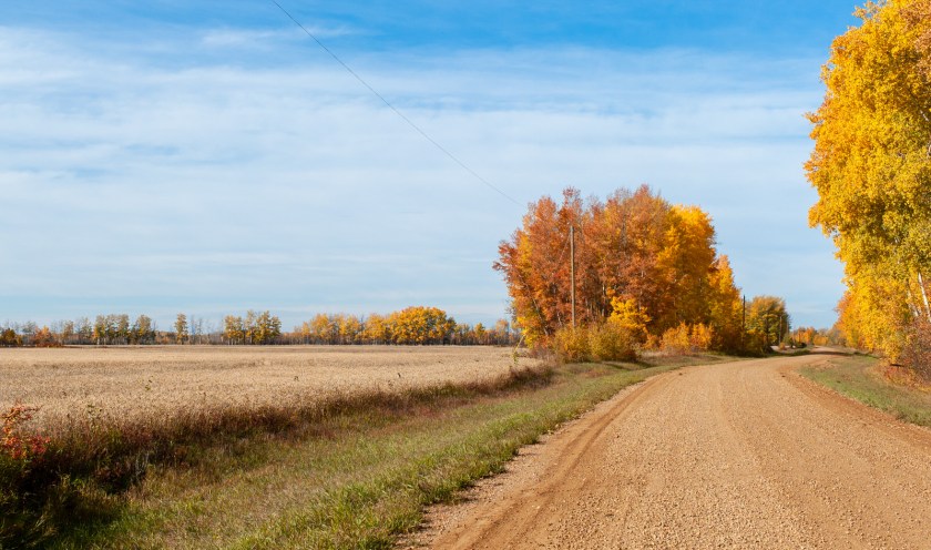 Autumn Colour - Buttery Refraction, Butter Town - Fort Vermilion, Alberta